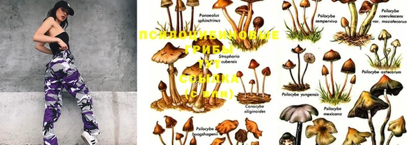 ПСИЛОЦИБИНОВЫЕ ГРИБЫ Абдулино