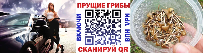 наркота  Аксай  Галлюциногенные грибы мицелий 