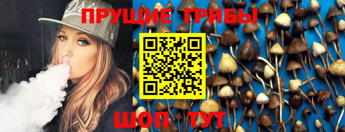 Псилоцибиновые грибы MAGIC MUSHROOMS  Вход с VPN  Аксай 